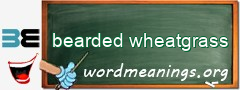 WordMeaning blackboard for bearded wheatgrass